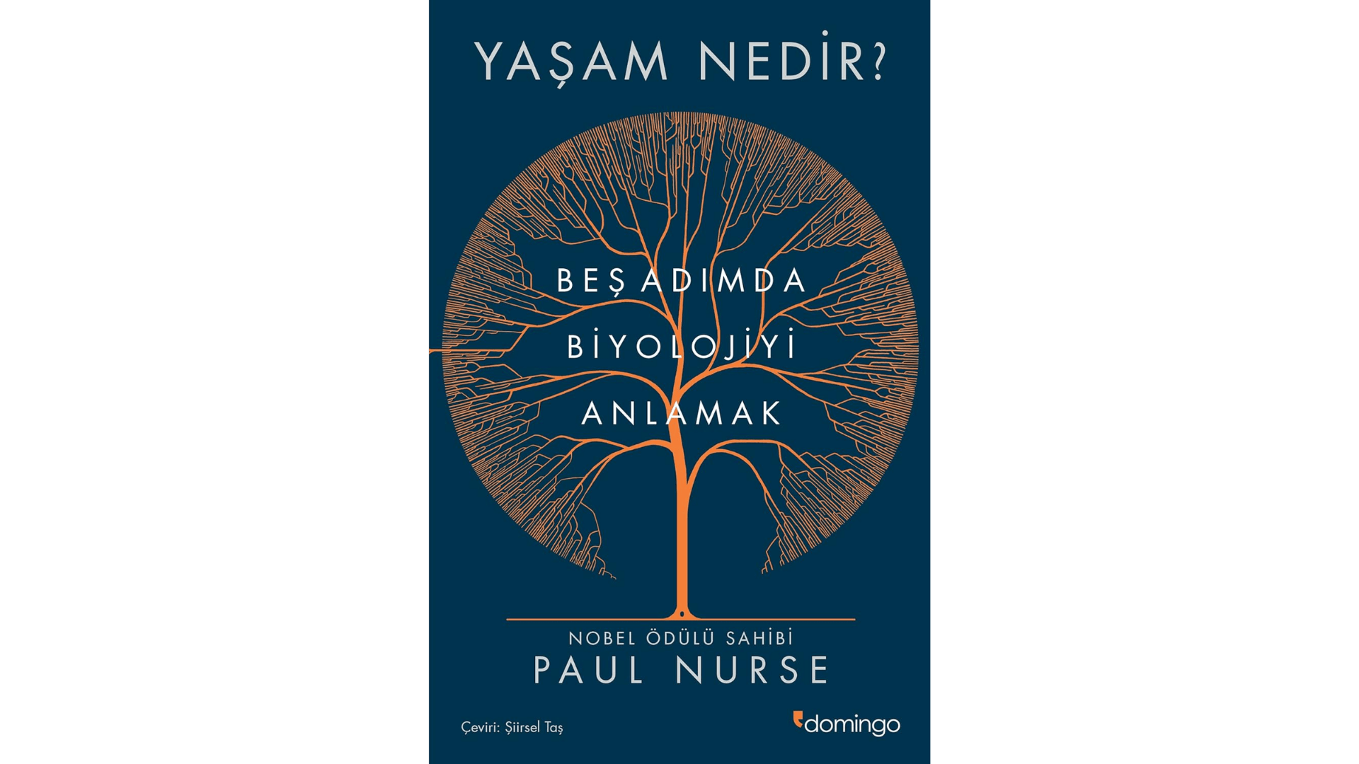 1fec1779b7182164cdf9bcae21875645da0381ec