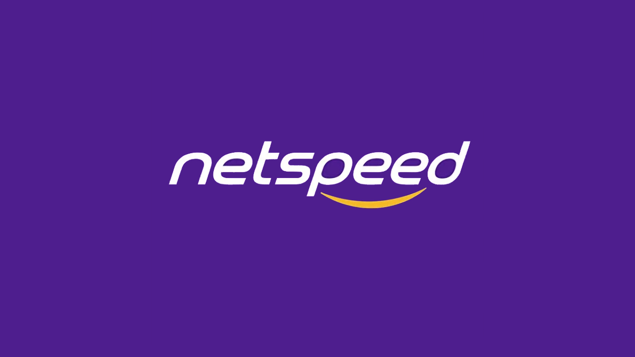 Netspeed siber saldırı