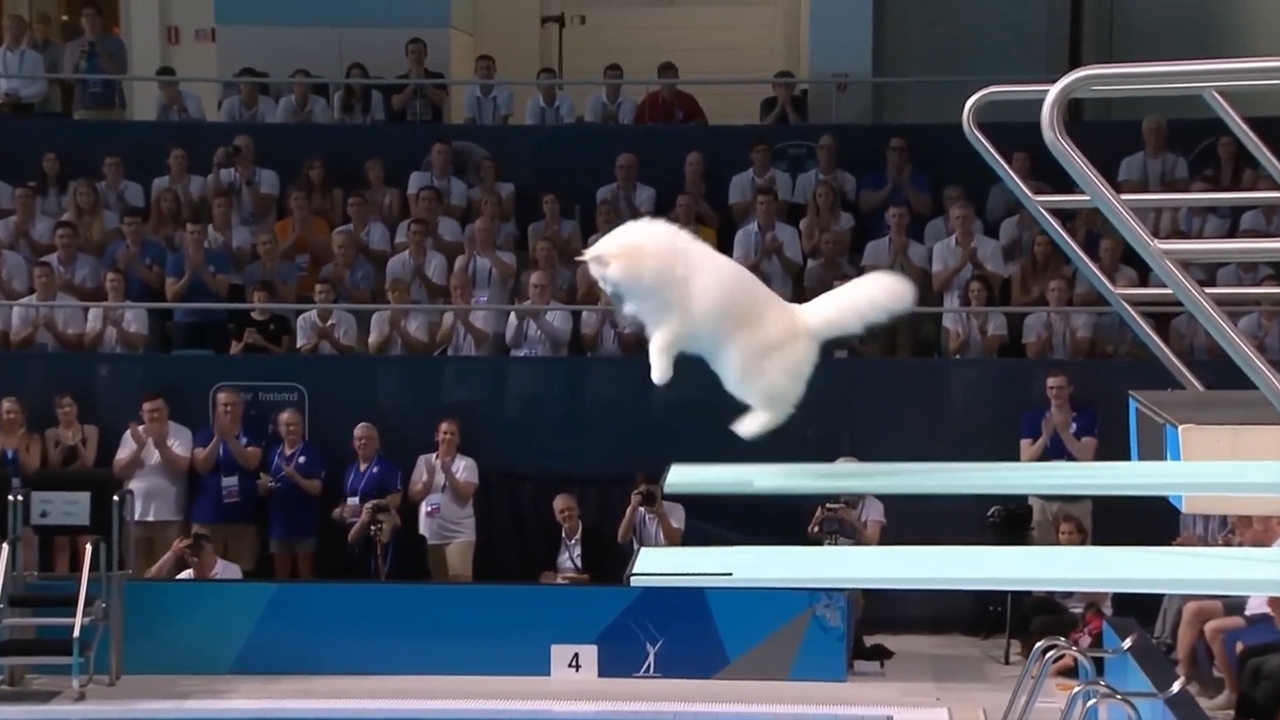 c49a525a98c79d134d37553ae058dae2558b94ef