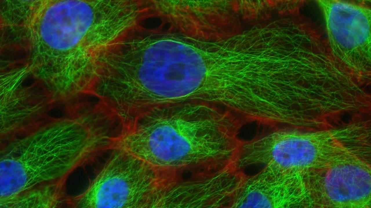 atomik seviyede görüntüleme yapıldı