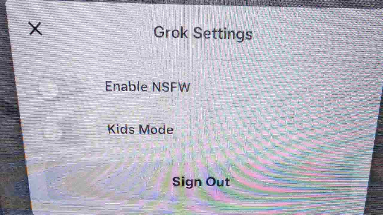 teslalara grok geldi