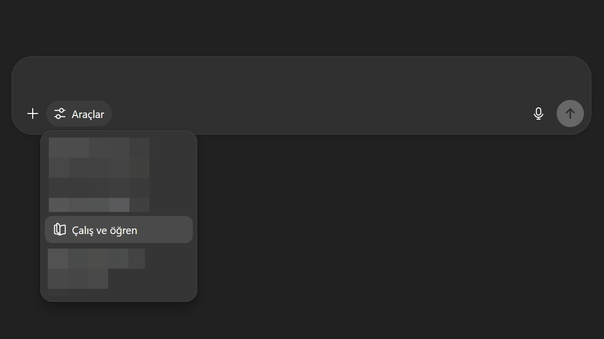 ChatGPT Çalış ve Öğren