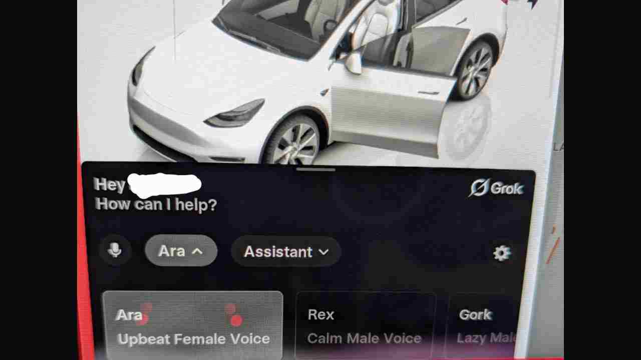 grok tesla desteği