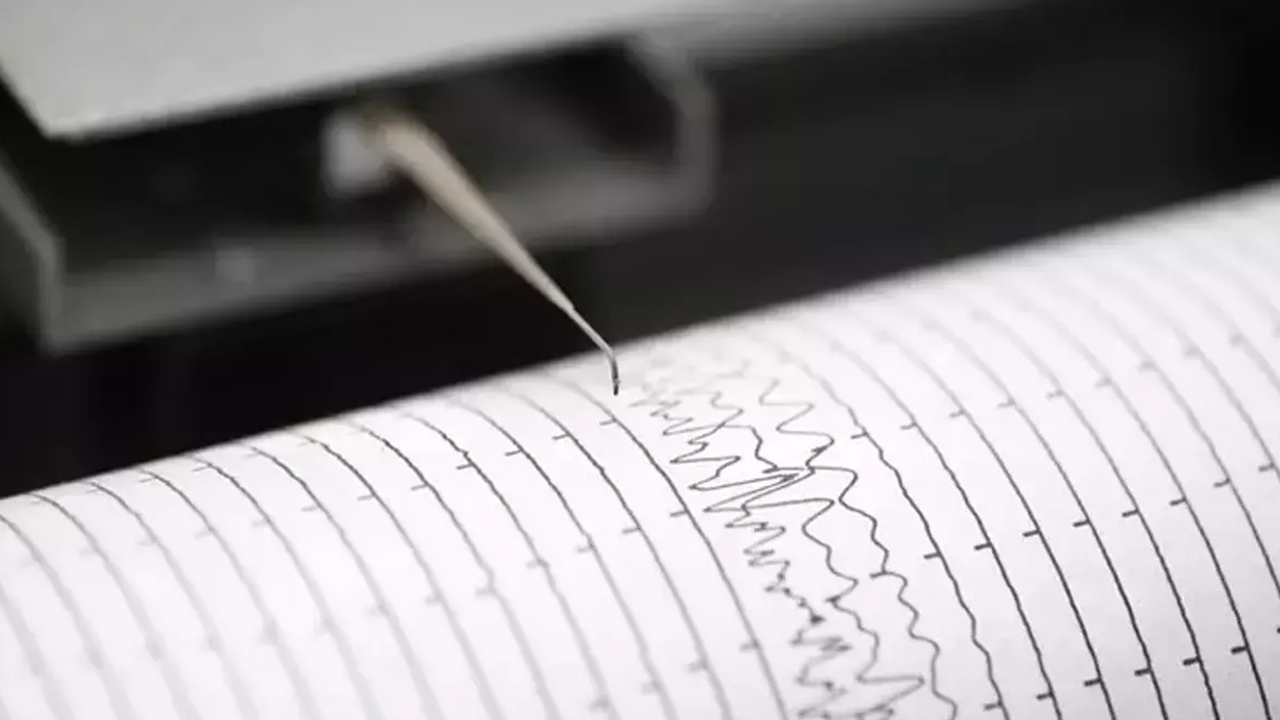 Japonya deprem tespit sistemi