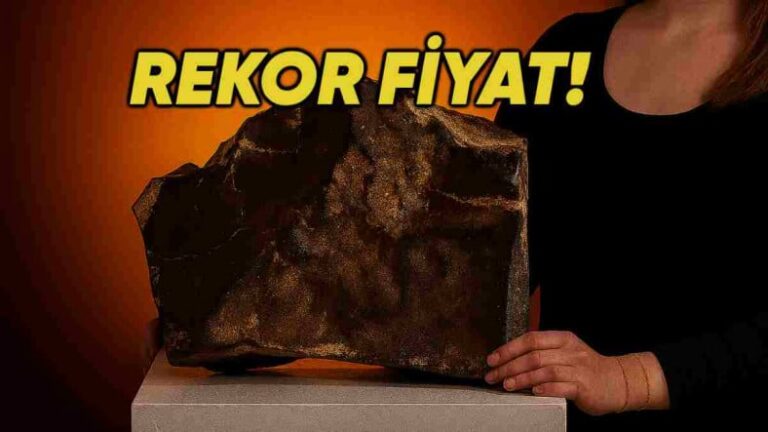 Mars’tan Dünyaya Düşen Rekor Değerdeki Göktaşı, Açık Artırmada Tarihi Fiyata Satıldı