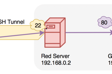 SSH Tünelleme Nedir? Güvenli Veri Aktarımı Rehberi (2025)