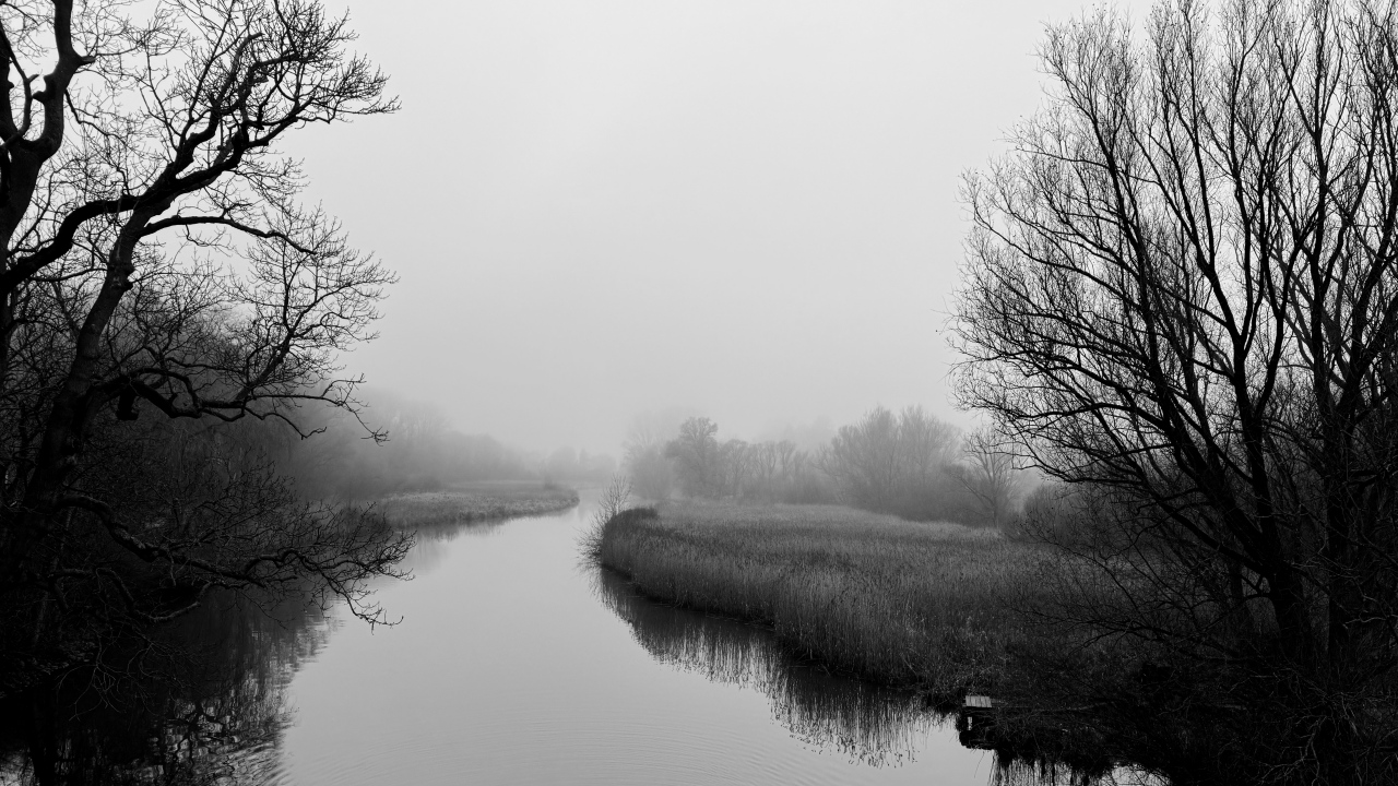 300fd77d073382123023881f6fff170835a6ac6c