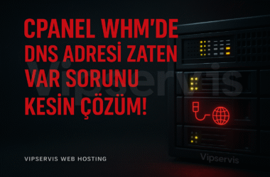 cPanel WHM’de DNS Girişi Zaten Mevcut” Hatası Nedir?