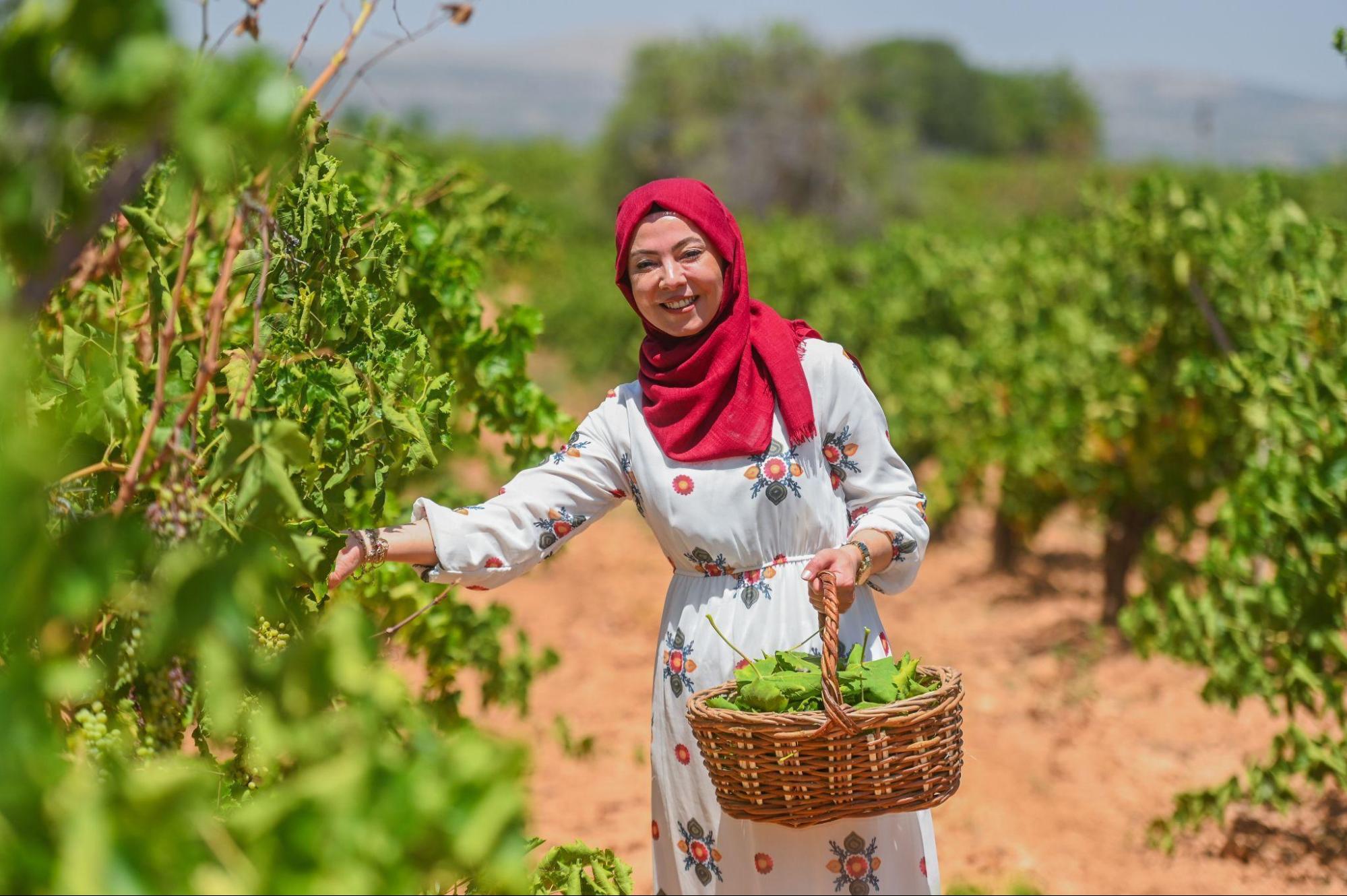 fe53e9c0e5f4a3f3486bf4fe09f4515e30f36083