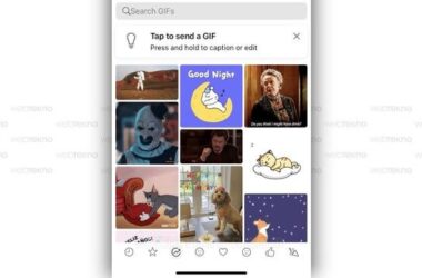 WhatsApp iOS için GIF Klavyesinde Büyük Tasarım Yeniliği: Kullanıcı Deneyimi Artıyor