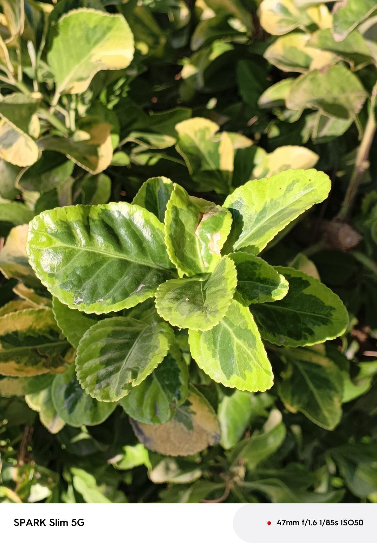 IMG_20251001_164301_092