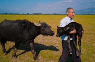 Tokatlı Mehmet Emin Coruş, Huawei XMAGE 2025 Dünya İkinciliği ile Mobil Fotoğrafçılıkta Zirveye Yükseldi