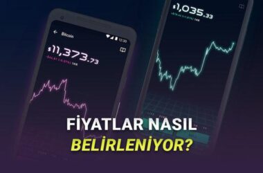 Kripto Fiyatlarını Anlık Takip Eden Uygulamalar Nasıl Çalışıyor? Derinlemesine Analiz ve Teknolojik Altyapı