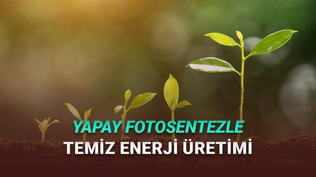 Sonsuz Temiz Enerji Üretebilen Yapay Fotosentez Sistemi Geliştirildi!