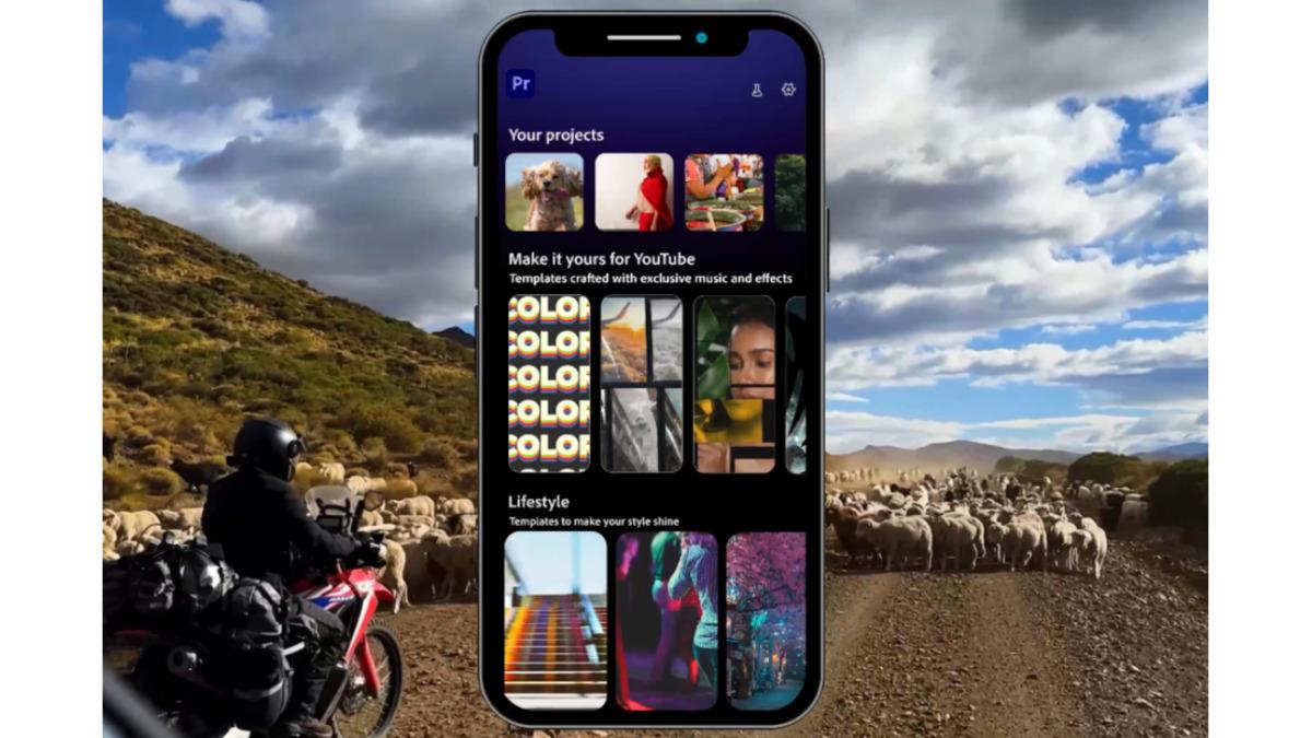 df456sd456fsd456456f5sd6