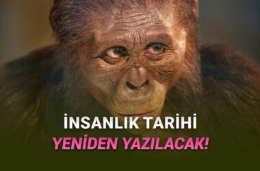 3,4 Milyon Yıl Önce Yaşamış Yeni İnsan Türü: Australopithecus Deyiremeda’nın Sırları