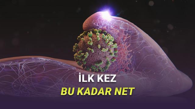 Grip Vir&uuml;s&uuml;n&uuml;n H&uuml;crelerimize Giriş Anı İlk Kez G&ouml;r&uuml;nt&uuml;lendi [Video]