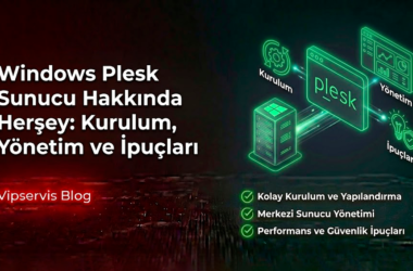 Windows Plesk Sunucu Hakkında Herşey: Kurulum, Yönetim ve İpuçları