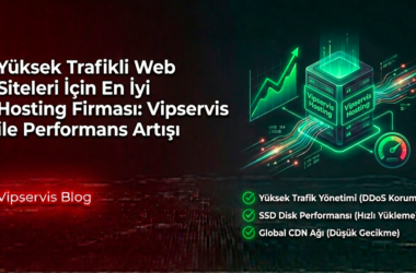 Yüksek Trafikli Web Siteleri İçin En İyi Hosting Firması: Vipservis ile Performans Artışı