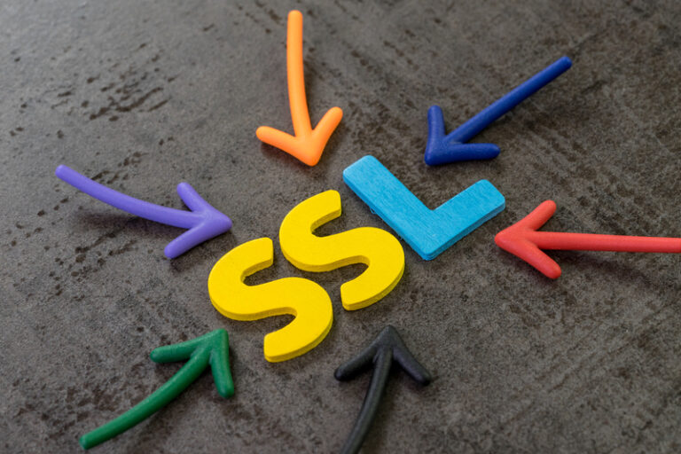 SSL Çeşitleri Nelerdir? | SSL Sertifikası Rehberi