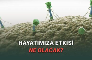 Bu da Oldu: Yapay Zekânın Artık Kendi Başına Virüs Oluşturabildiği Keşfedildi