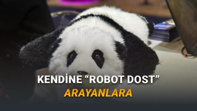 CES 2026: Yaşlılara Psikolojik Destek Sağlayabilen Panda Robot "AnAn" Tanıtıldı