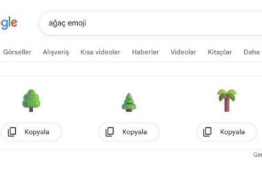 İstediğiniz emojiyi Google’da aratıp kopyalarak kullanabilirsiniz