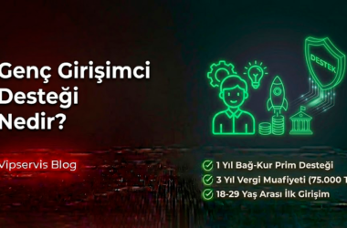 Genç Girişimci Desteği Nedir? Devletin Sağladığı Fırsatlar ve Başvuru Süreci