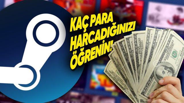 Steam&rsquo;de Bug&uuml;ne Kadar Ka&ccedil; Para Harcadığınızı Biliyor musunuz? Birka&ccedil; Saniyede &Ouml;ğrenebilirsiniz