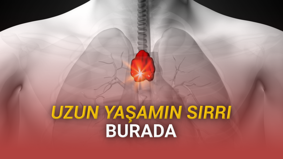 Varlığı &Ccedil;ok da &Ouml;nemsenmeyen Bir Oranın, Uzun &Ouml;m&uuml;rl&uuml; Olmasının Sırrı Olabileceği Bulundu