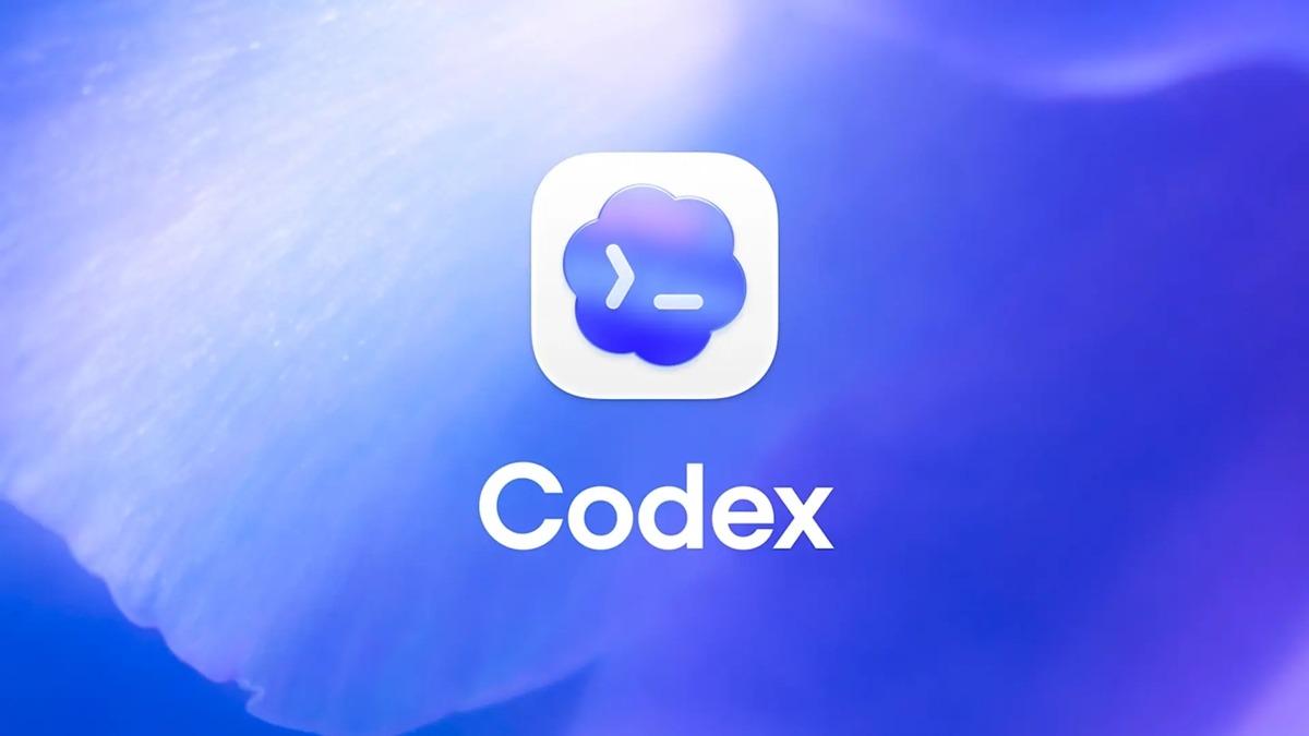 Son Günlerin Popüler Aracı Codex, Bir Kullanıcının SSD'sinin Ömrünün Büyük Kısmını Tüketti