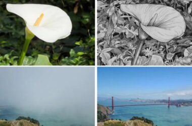 Adobe Project Indigo: Yapay Zekâlı Kamera Uygulamasıyla Fotoğrafçılıkta Devrim