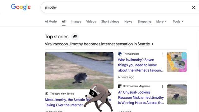 Google’da “Jimothy” Araması: Rakun Animasyonu ve Popüler Kültür Fenomeni