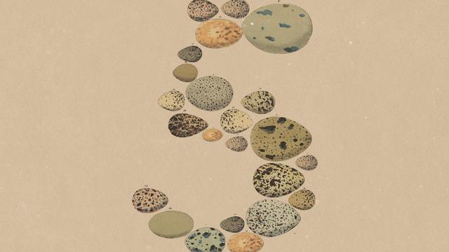 Anthropic Opus 5: Yapay Zekâda Yeni Nesil Performans ve Avantajlar