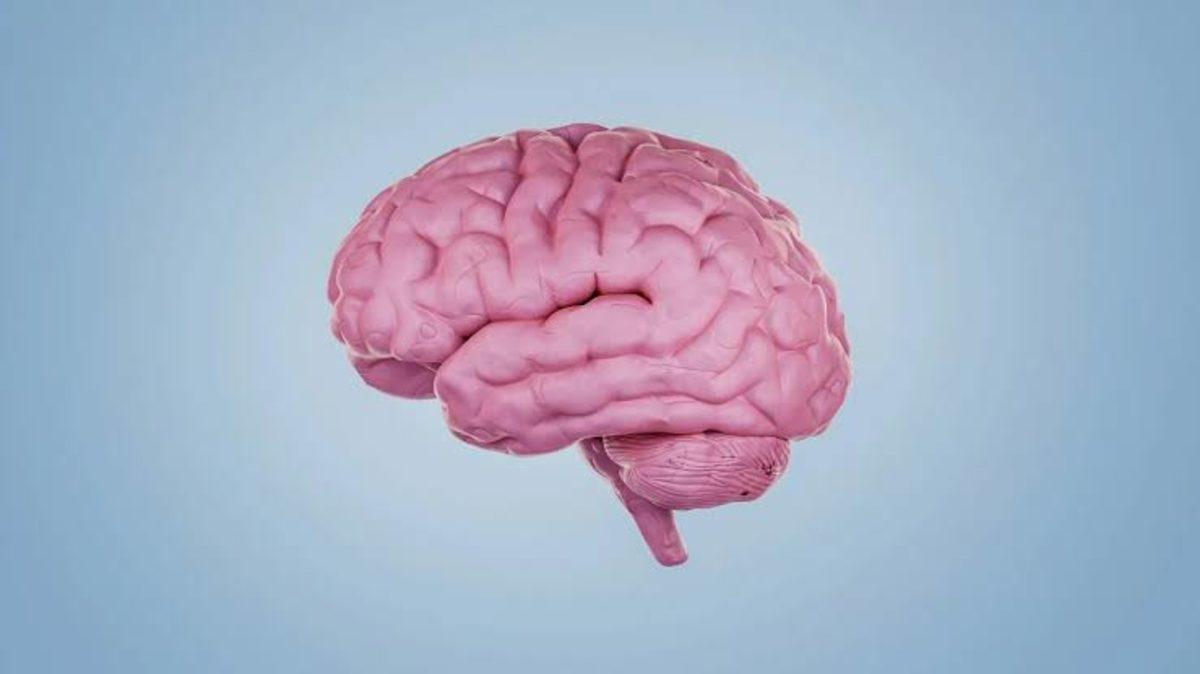 images (1)