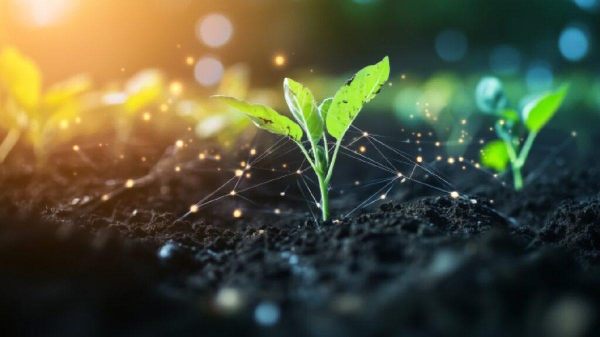 How-Spectroscopy-is-Driving-the-Future-of-Precision-Agriculture-and-Sustainable-Farming-1024x576