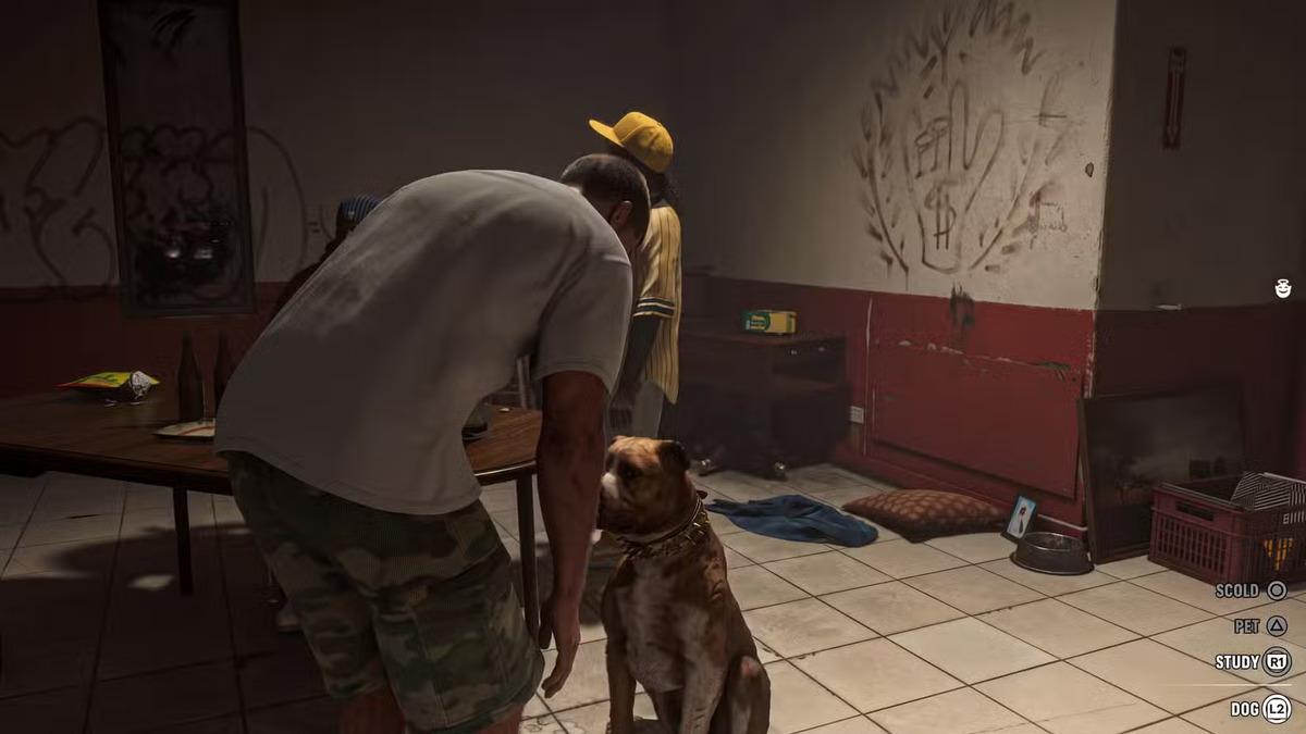 pet