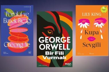 Farklı Kategorilerden Kitap Tavsiyeleri