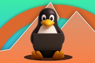Linux Pazar Payı Bir Anda %10 Seviyelerine Yükseldi: Peki Nasıl ve Neden?