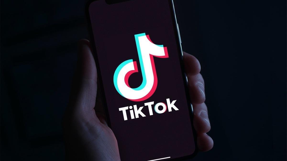 TikTok Verileri Nasıl İndirilir?