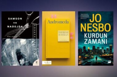 Farklı Kategorilerden Kitap Tavsiyeleri