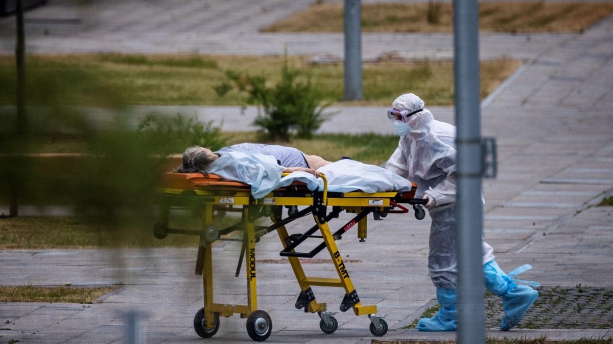 Rusya'da Veba Alarmı: Laboratuvardaki Kazadan Karantinaya, İşte Tüm Yaşananlar ve Uzman Görüşleri!